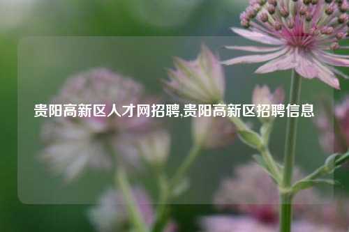 贵阳高新区人才网招聘,贵阳高新区招聘信息