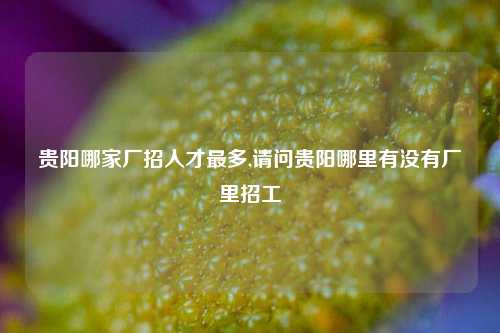 贵阳哪家厂招人才最多,请问贵阳哪里有没有厂里招工-第1张图片-贵阳人才网