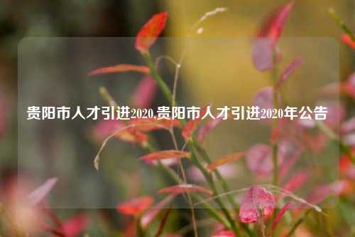 贵阳市人才引进2020,贵阳市人才引进2020年公告