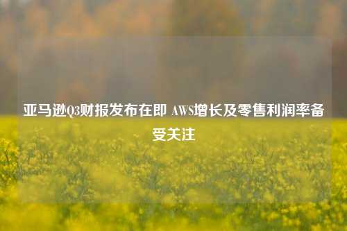 亚马逊Q3财报发布在即 AWS增长及零售利润率备受关注