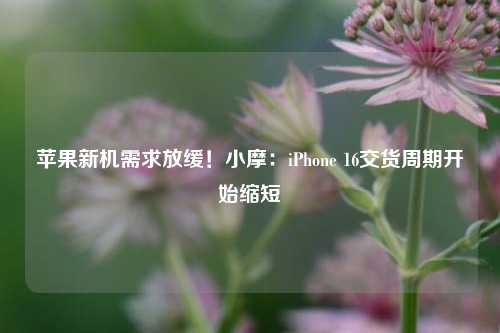 苹果新机需求放缓！小摩：iPhone 16交货周期开始缩短-第1张图片-贵阳人才网