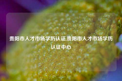 贵阳市人才市场学历认证,贵阳市人才市场学历认证中心-第1张图片-贵阳人才网