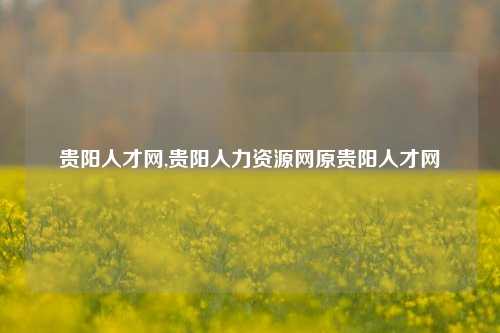 贵阳人才网,贵阳人力资源网原贵阳人才网