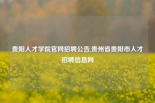 贵阳人才学院官网招聘公告,贵州省贵阳市人才招聘信息网-第1张图片-贵阳人才网