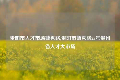 贵阳市人才市场毓秀路,贵阳市毓秀路25号贵州省人才大市场-第1张图片-贵阳人才网