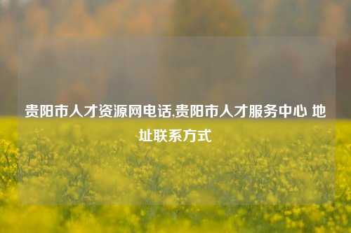 贵阳市人才资源网电话,贵阳市人才服务中心 地址联系方式-第1张图片-贵阳人才网