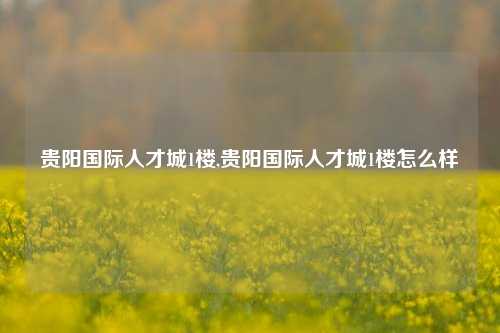 贵阳国际人才城1楼,贵阳国际人才城1楼怎么样