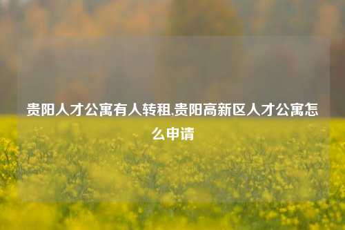 贵阳人才公寓有人转租,贵阳高新区人才公寓怎么申请