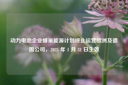 动力电池企业蜂巢能源计划终止运营欧洲及德国公司，2025 年 1 月 31 日生效-第1张图片-贵阳人才网