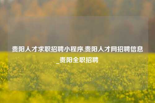 贵阳人才求职招聘小程序,贵阳人才网招聘信息_贵阳全职招聘-第1张图片-贵阳人才网