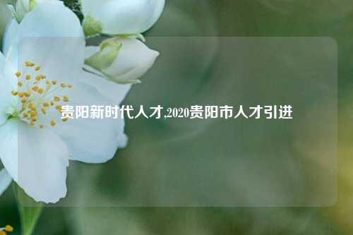 贵阳新时代人才,2020贵阳市人才引进