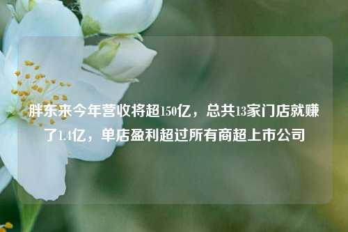 胖东来今年营收将超150亿，总共13家门店就赚了1.4亿，单店盈利超过所有商超上市公司-第1张图片-贵阳人才网