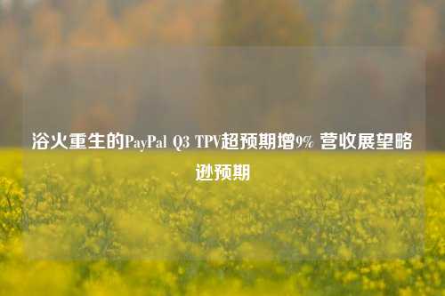 浴火重生的PayPal Q3 TPV超预期增9% 营收展望略逊预期-第1张图片-贵阳人才网