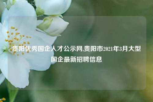 贵阳优秀国企人才公示网,贵阳市2021年3月大型国企最新招聘信息-第1张图片-贵阳人才网