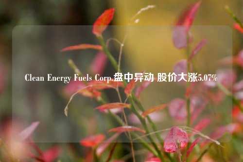 Clean Energy Fuels Corp.盘中异动 股价大涨5.07%-第1张图片-贵阳人才网