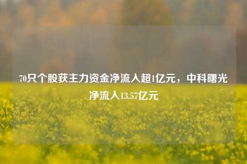 70只个股获主力资金净流入超1亿元，中科曙光净流入13.57亿元