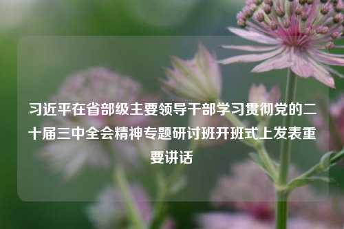 习近平在省部级主要领导干部学习贯彻党的二十届三中全会精神专题研讨班开班式上发表重要讲话-第1张图片-贵阳人才网