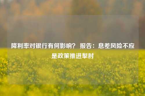 降利率对银行有何影响？ 报告：息差风险不应是政策推进掣肘