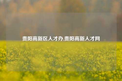 贵阳高新区人才办,贵阳高新人才网