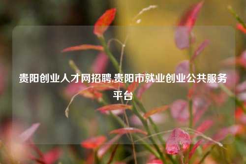 贵阳创业人才网招聘,贵阳市就业创业公共服务平台