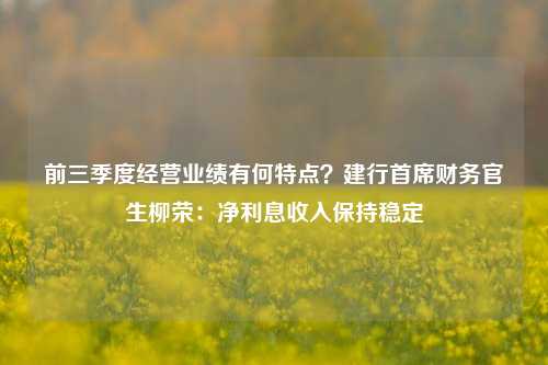 前三季度经营业绩有何特点？建行首席财务官生柳荣：净利息收入保持稳定-第1张图片-贵阳人才网