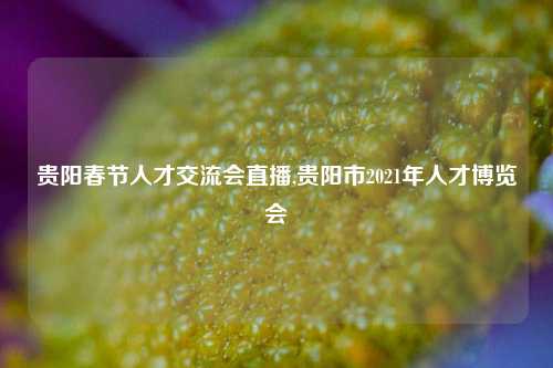 贵阳春节人才交流会直播,贵阳市2021年人才博览会-第1张图片-贵阳人才网