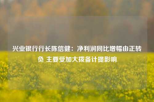 兴业银行行长陈信健：净利润同比增幅由正转负 主要受加大拨备计提影响-第1张图片-贵阳人才网