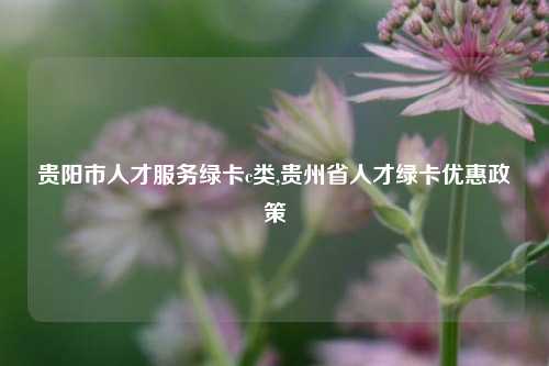 贵阳市人才服务绿卡c类,贵州省人才绿卡优惠政策