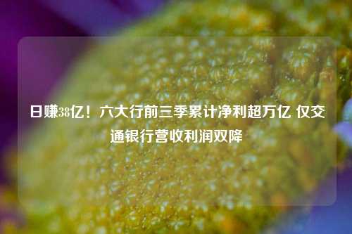 日赚38亿！六大行前三季累计净利超万亿 仅交通银行营收利润双降-第1张图片-贵阳人才网