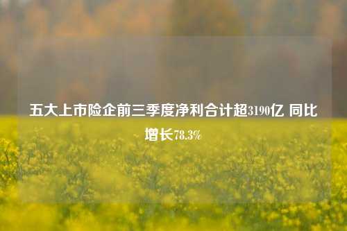 五大上市险企前三季度净利合计超3190亿 同比增长78.3%