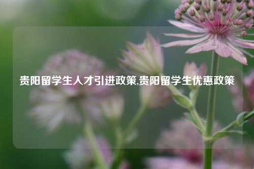 贵阳留学生人才引进政策,贵阳留学生优惠政策