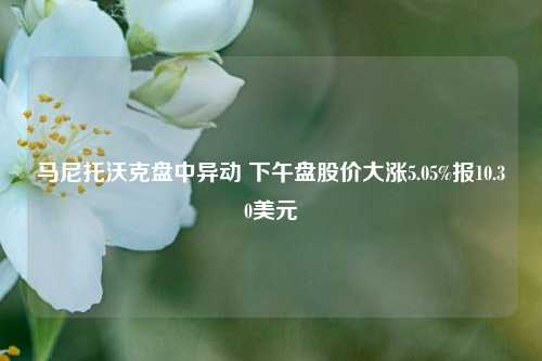 马尼托沃克盘中异动 下午盘股价大涨5.05%报10.30美元-第1张图片-贵阳人才网