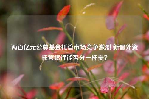 两百亿元公募基金托管市场竞争激烈 新晋外资托管银行能否分一杯羹？-第1张图片-贵阳人才网