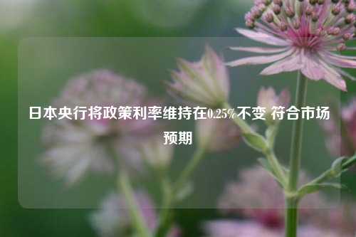 日本央行将政策利率维持在0.25%不变 符合市场预期-第1张图片-贵阳人才网