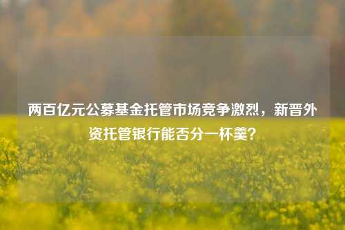 两百亿元公募基金托管市场竞争激烈，新晋外资托管银行能否分一杯羹？-第1张图片-贵阳人才网