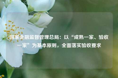 国家金融监督管理总局：以“成熟一家、验收一家”为基本原则，全面落实验收要求