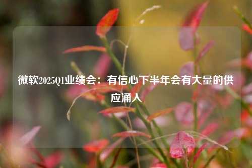 微软2025Q1业绩会：有信心下半年会有大量的供应涌入-第1张图片-贵阳人才网