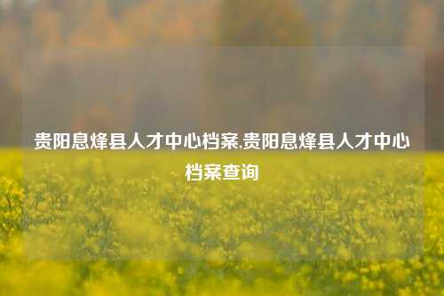 贵阳息烽县人才中心档案,贵阳息烽县人才中心档案查询