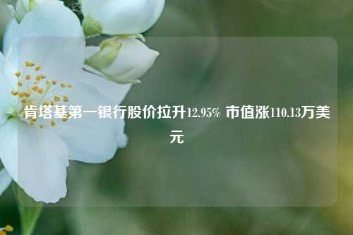 肯塔基第一银行股价拉升12.95% 市值涨110.13万美元