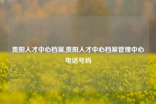 贵阳人才中心档案,贵阳人才中心档案管理中心电话号码