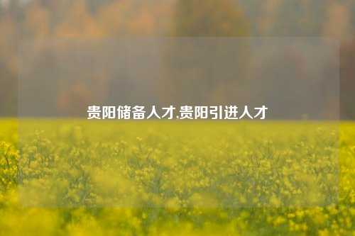 贵阳储备人才,贵阳引进人才