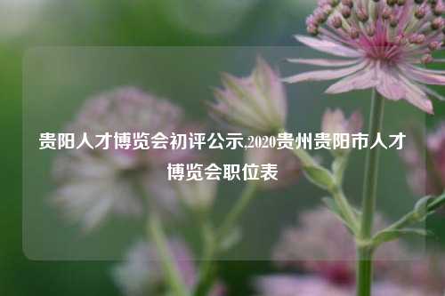 贵阳人才博览会初评公示,2020贵州贵阳市人才博览会职位表