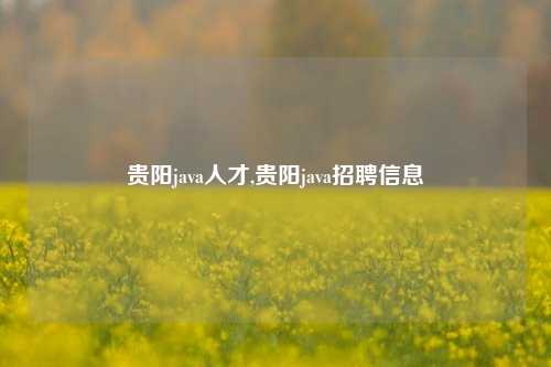 贵阳java人才,贵阳java招聘信息