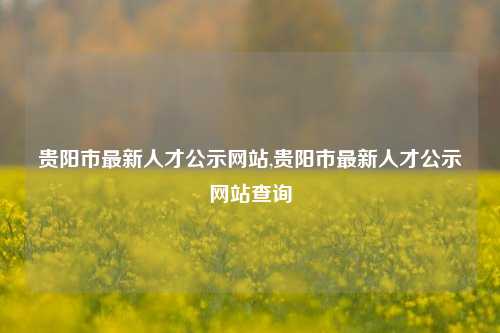 贵阳市最新人才公示网站,贵阳市最新人才公示网站查询