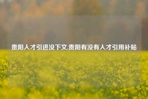 贵阳人才引进没下文,贵阳有没有人才引用补贴