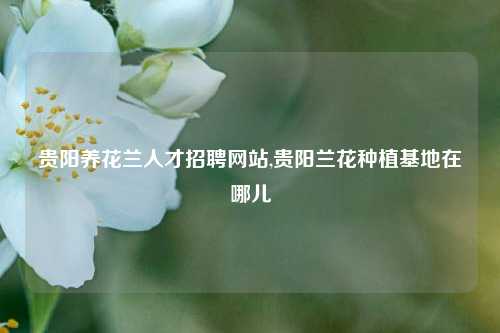 贵阳养花兰人才招聘网站,贵阳兰花种植基地在哪儿