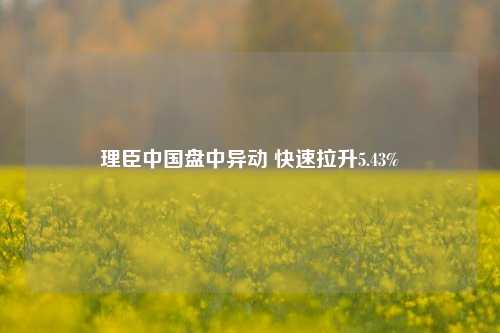 理臣中国盘中异动 快速拉升5.43%