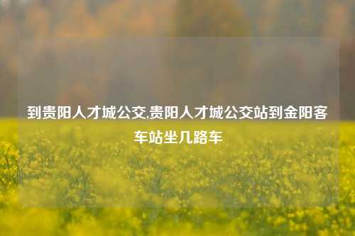 到贵阳人才城公交,贵阳人才城公交站到金阳客车站坐几路车