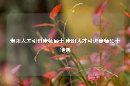 贵阳人才引进贵师硕士,贵阳人才引进贵师硕士待遇