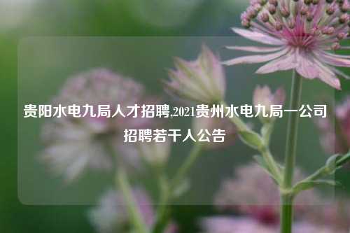 贵阳水电九局人才招聘,2021贵州水电九局一公司招聘若干人公告